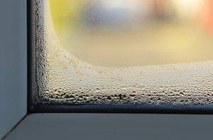 condensation on window