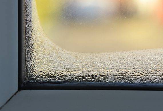 condensation on window