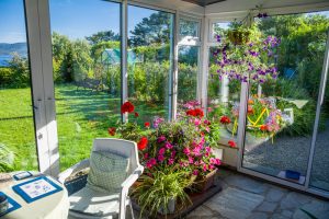 Inside of a conservatory on a summers day with a lot of flowers and shrubbery