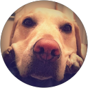 Craig Penton profile picture
